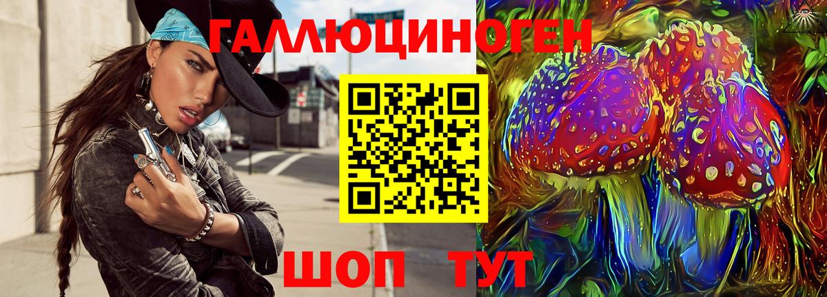 Галлюциногенные грибы Psilocybe Белореченск
