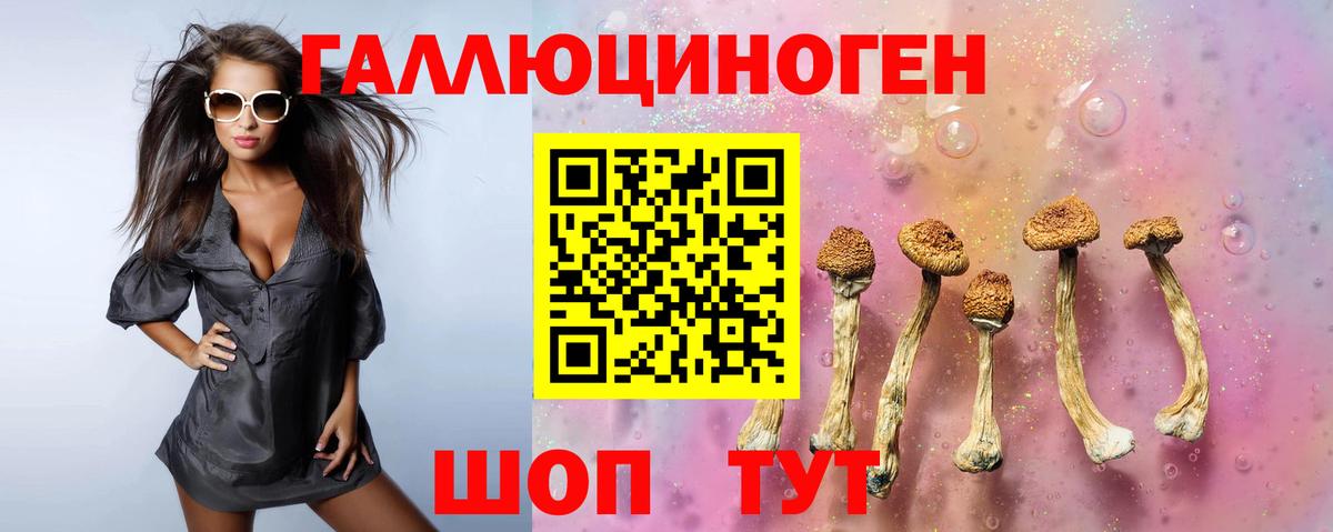 Белореченск  где купить наркоту  Вход с VPN  Псилоцибиновые грибы мицелий 
